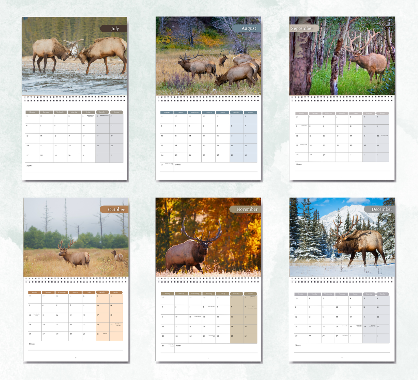 Elk Calendar 2026