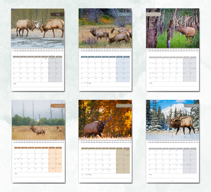 Elk Calendar 2026