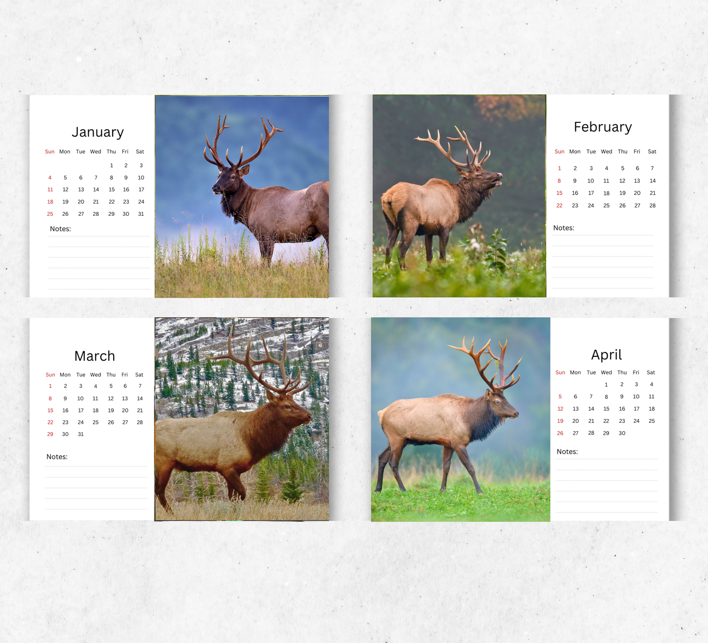 Elk Desk Calendar 2026-2027