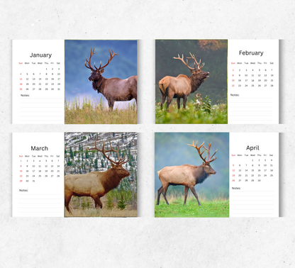 Elk Desk Calendar 2026-2027