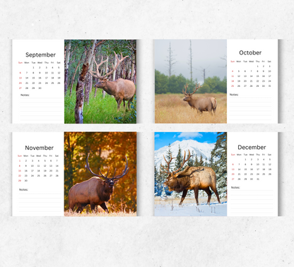 Elk Desk Calendar 2026-2027