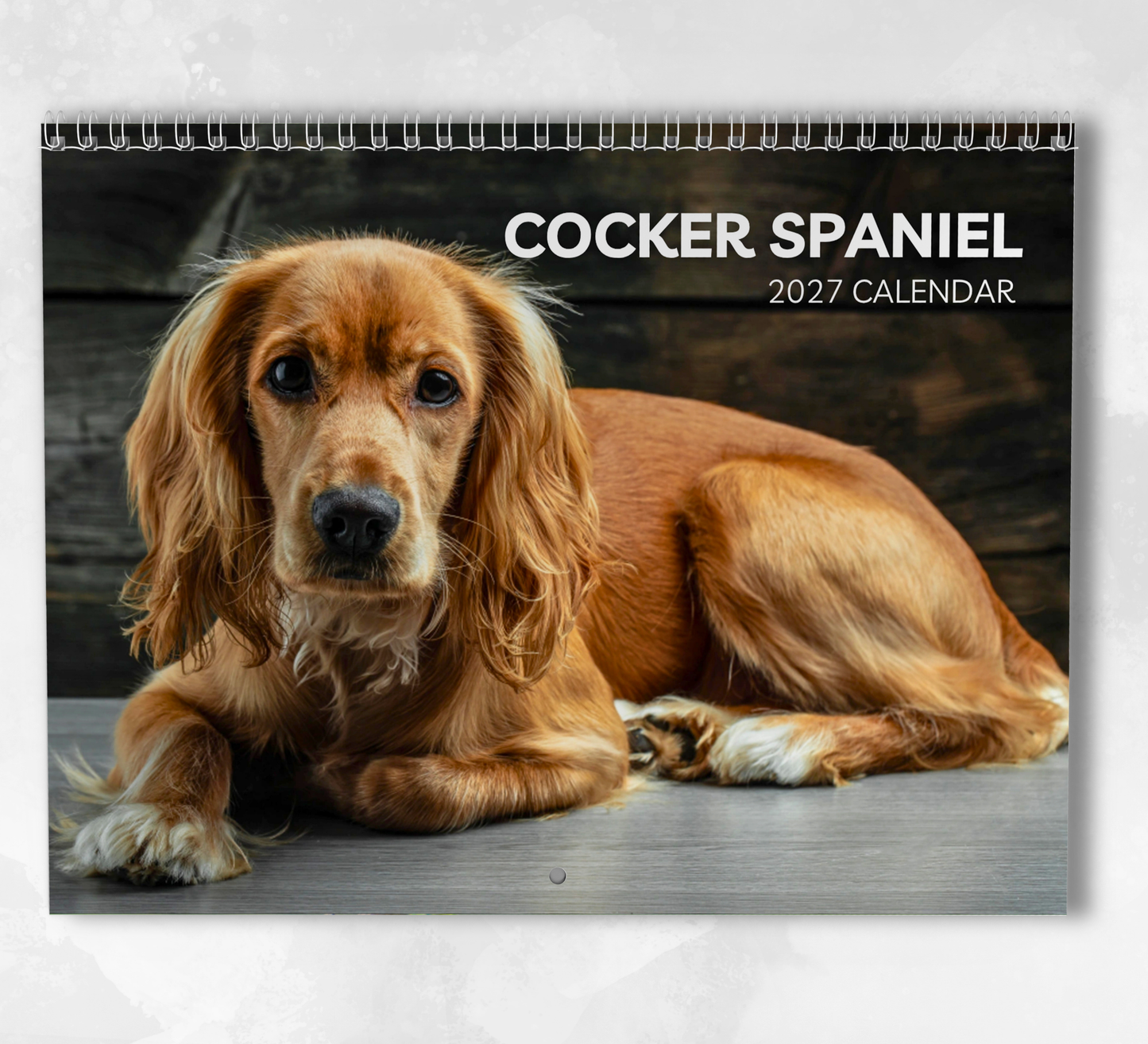 English Cocker Spaniel Calendar 2027