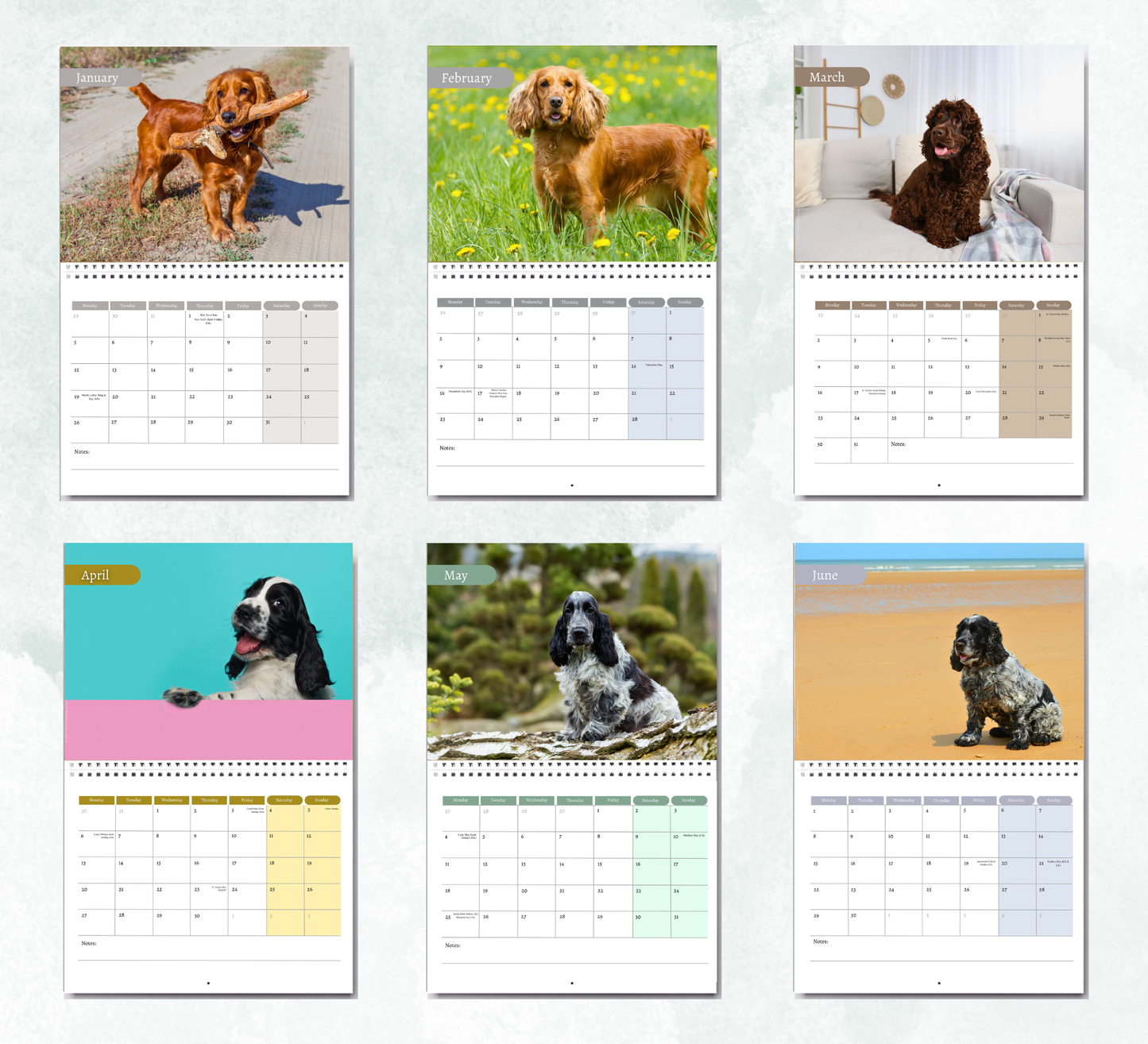 English Cocker Spaniel Calendar 2027
