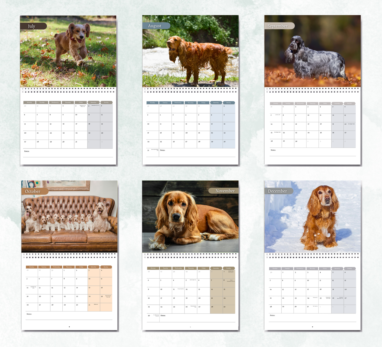 English Cocker Spaniel Calendar 2027