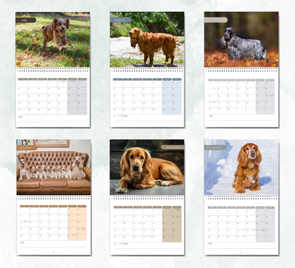 English Cocker Spaniel Calendar 2027