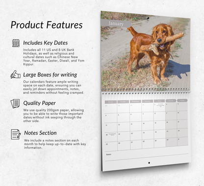 English Cocker Spaniel Calendar 2027