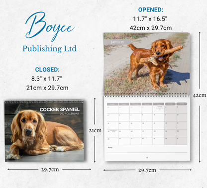 English Cocker Spaniel Calendar 2027