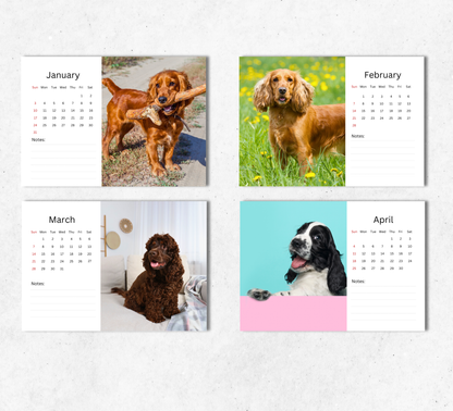 English Cocker Desk Calendar 2027-2028