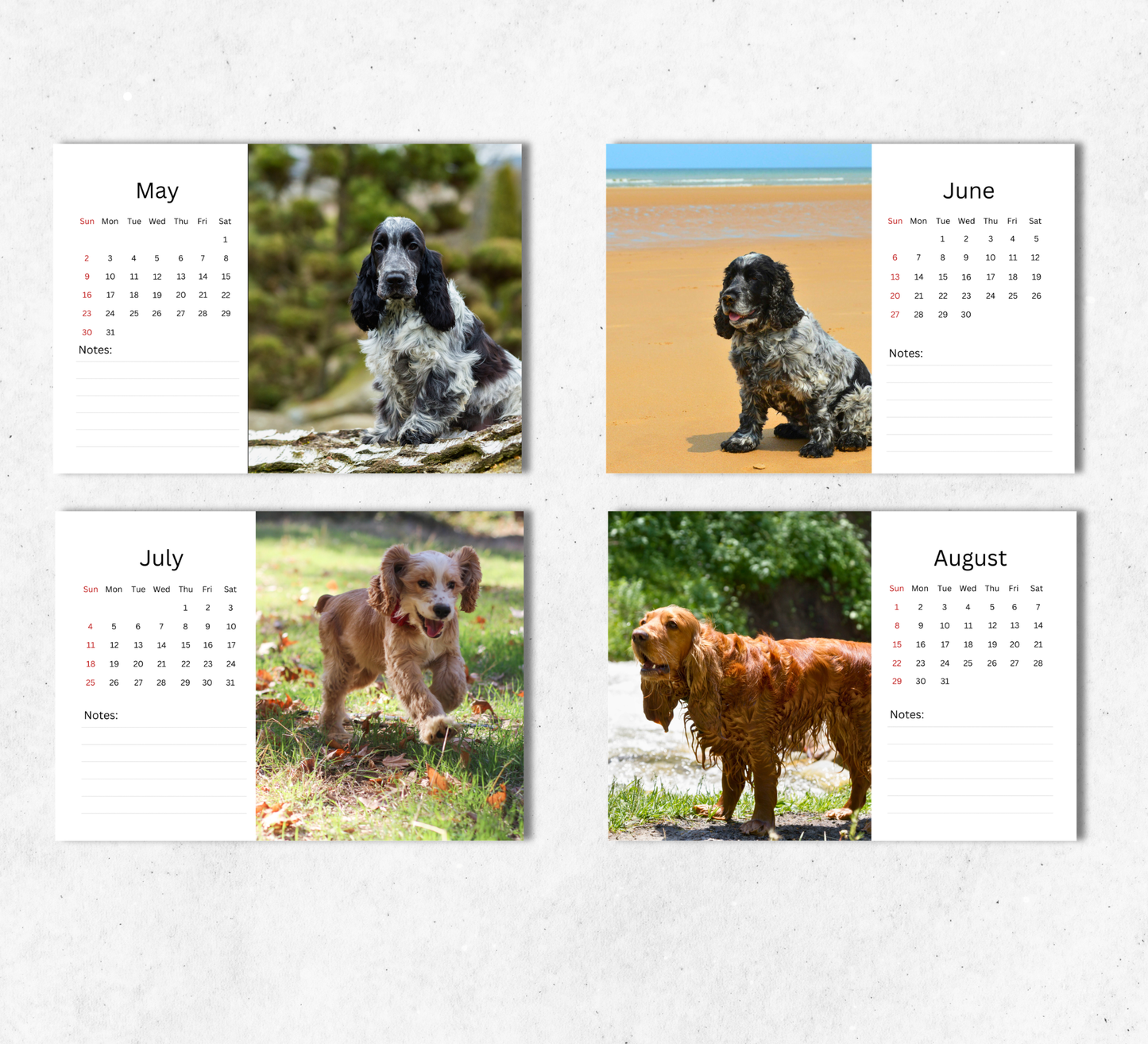 English Cocker Desk Calendar 2027-2028