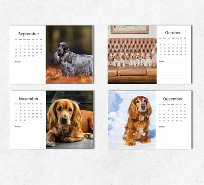 English Cocker Desk Calendar 2027-2028
