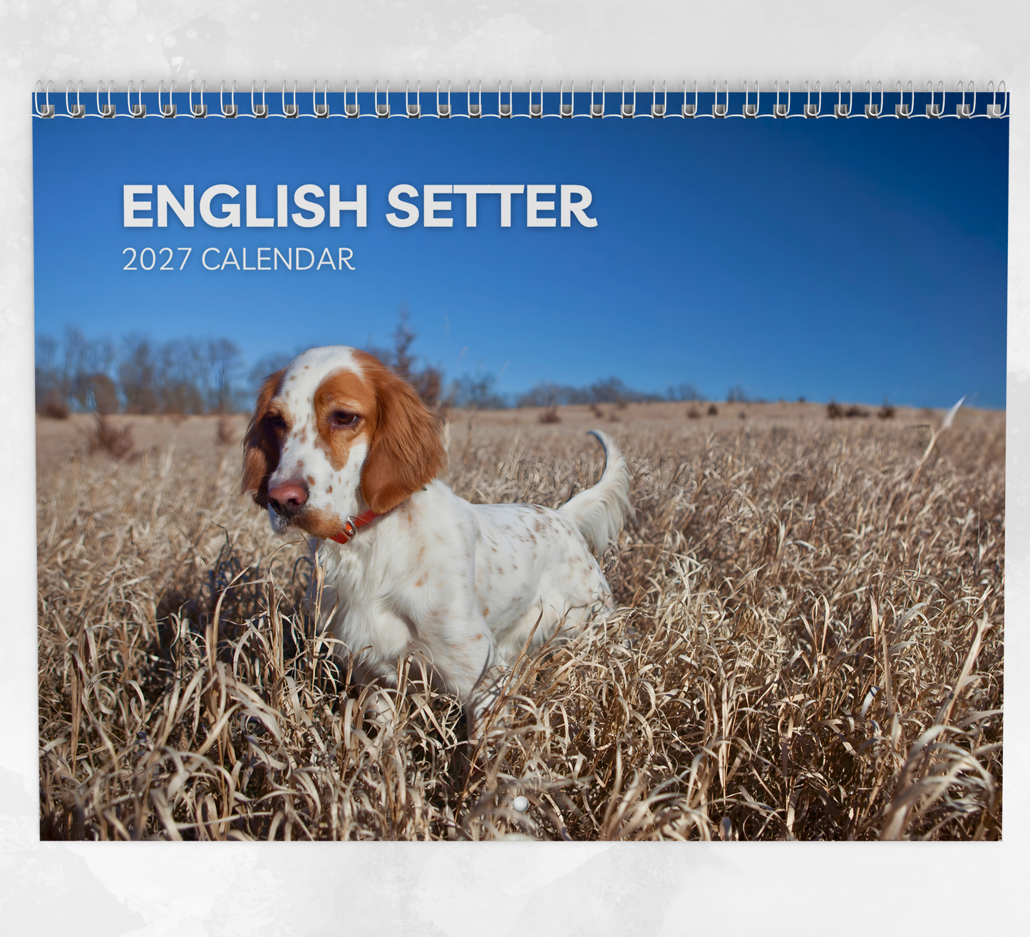 English Setter Calendar 2027