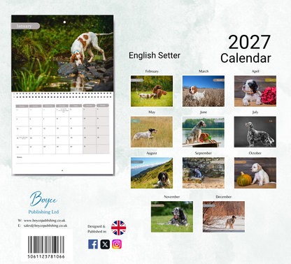 English Setter Calendar 2027