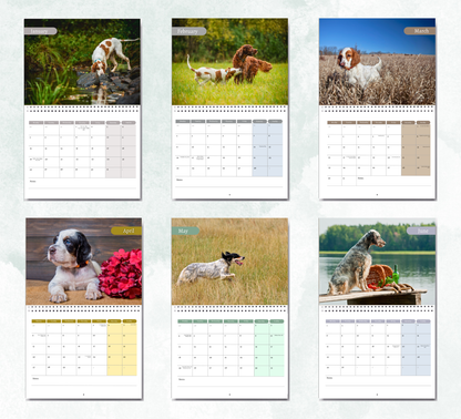 English Setter Calendar 2027