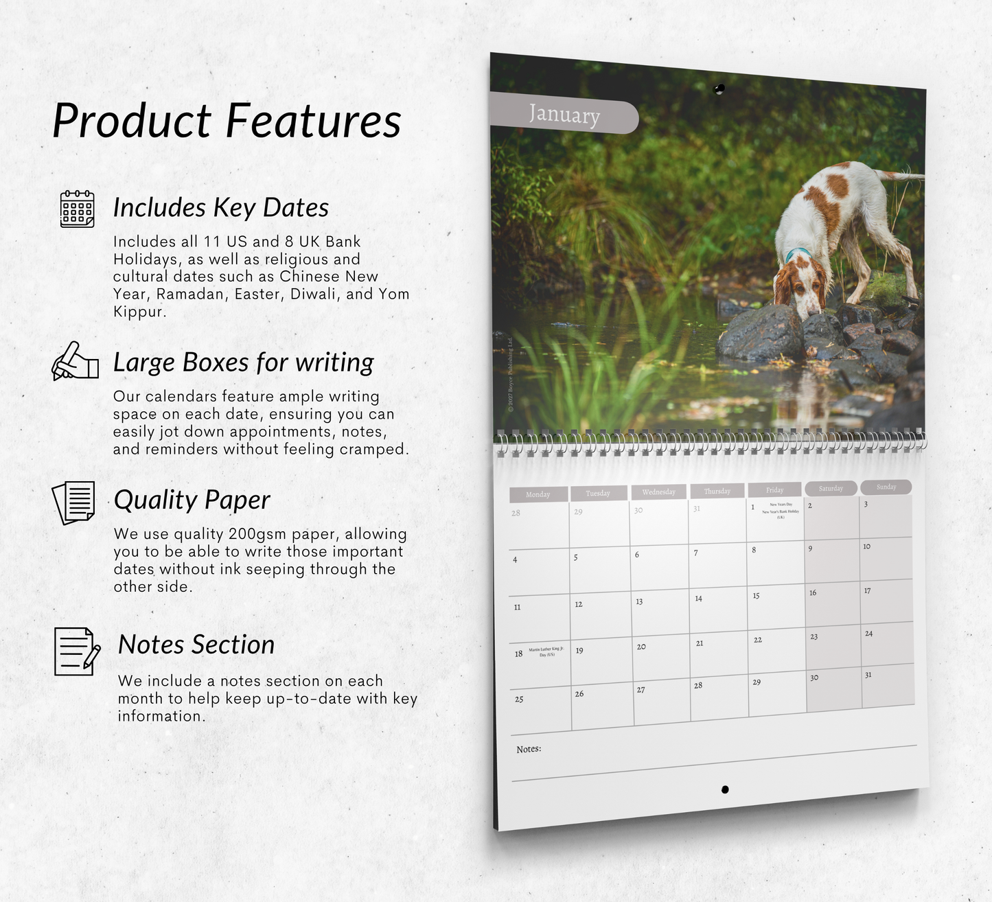 English Setter Calendar 2027