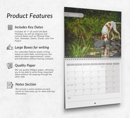 English Setter Calendar 2027