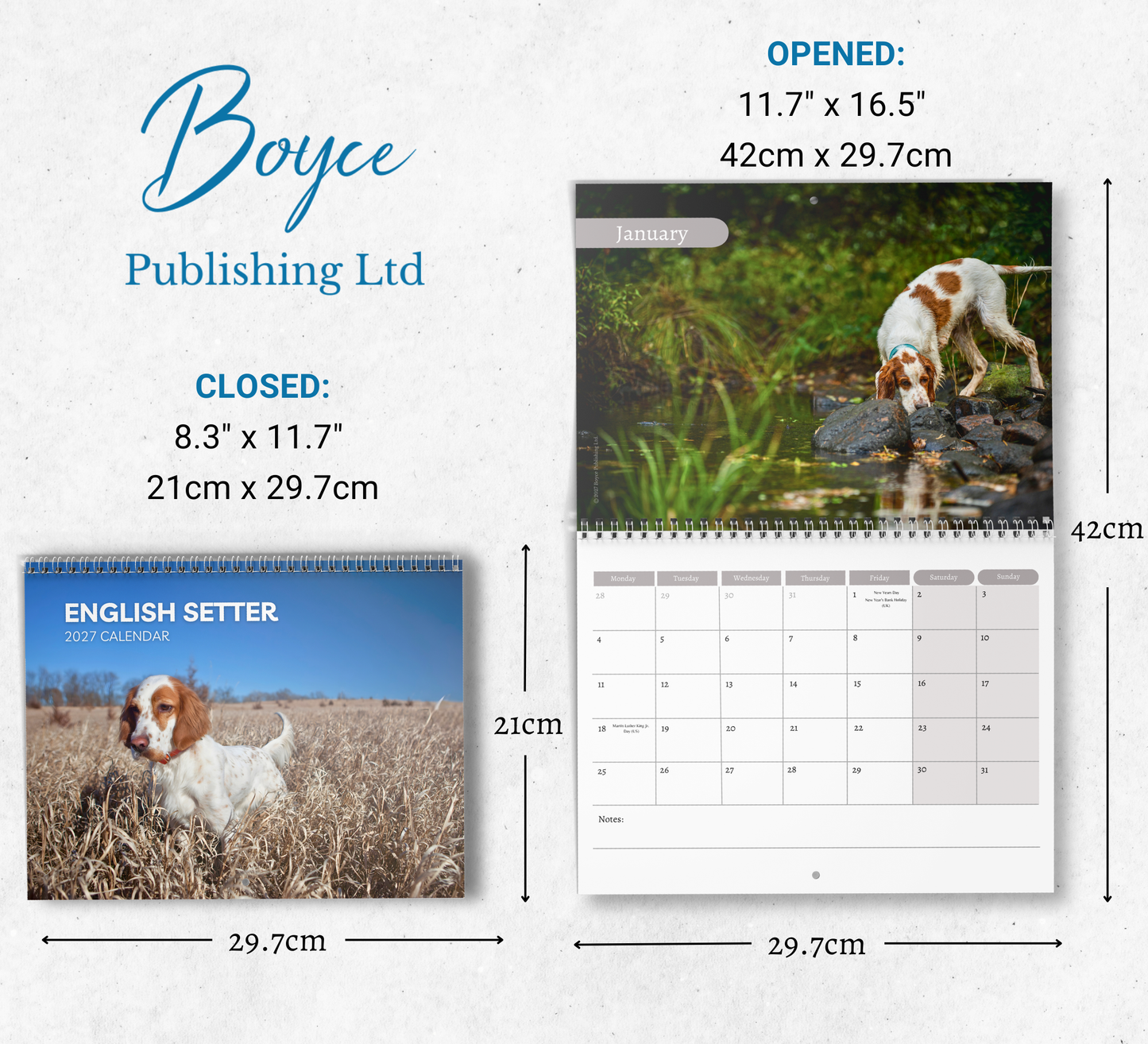 English Setter Calendar 2027