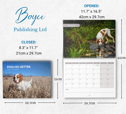 English Setter Calendar 2027