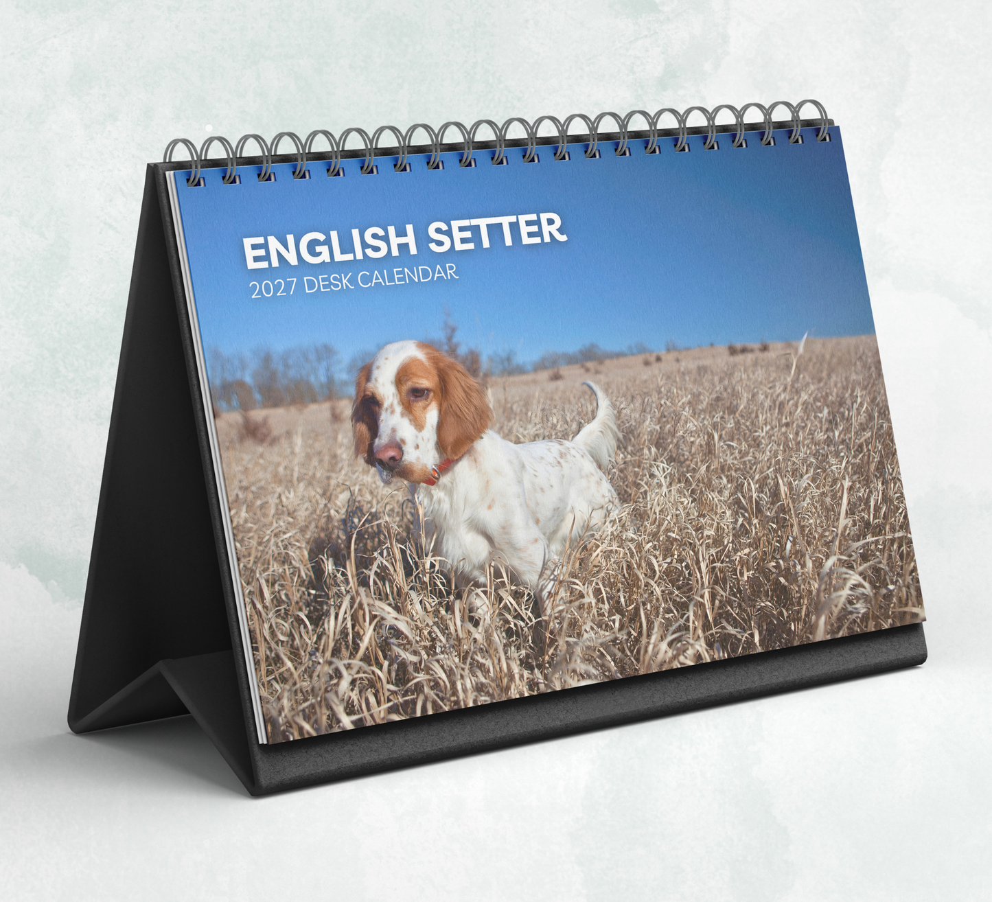 English Setter Desk Calendar 2027-2028