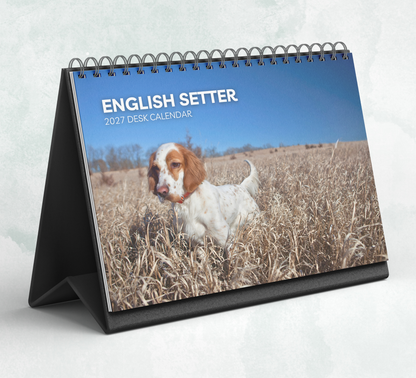 English Setter Desk Calendar 2027-2028