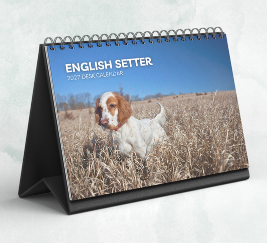 English Setter Desk Calendar 2027-2028