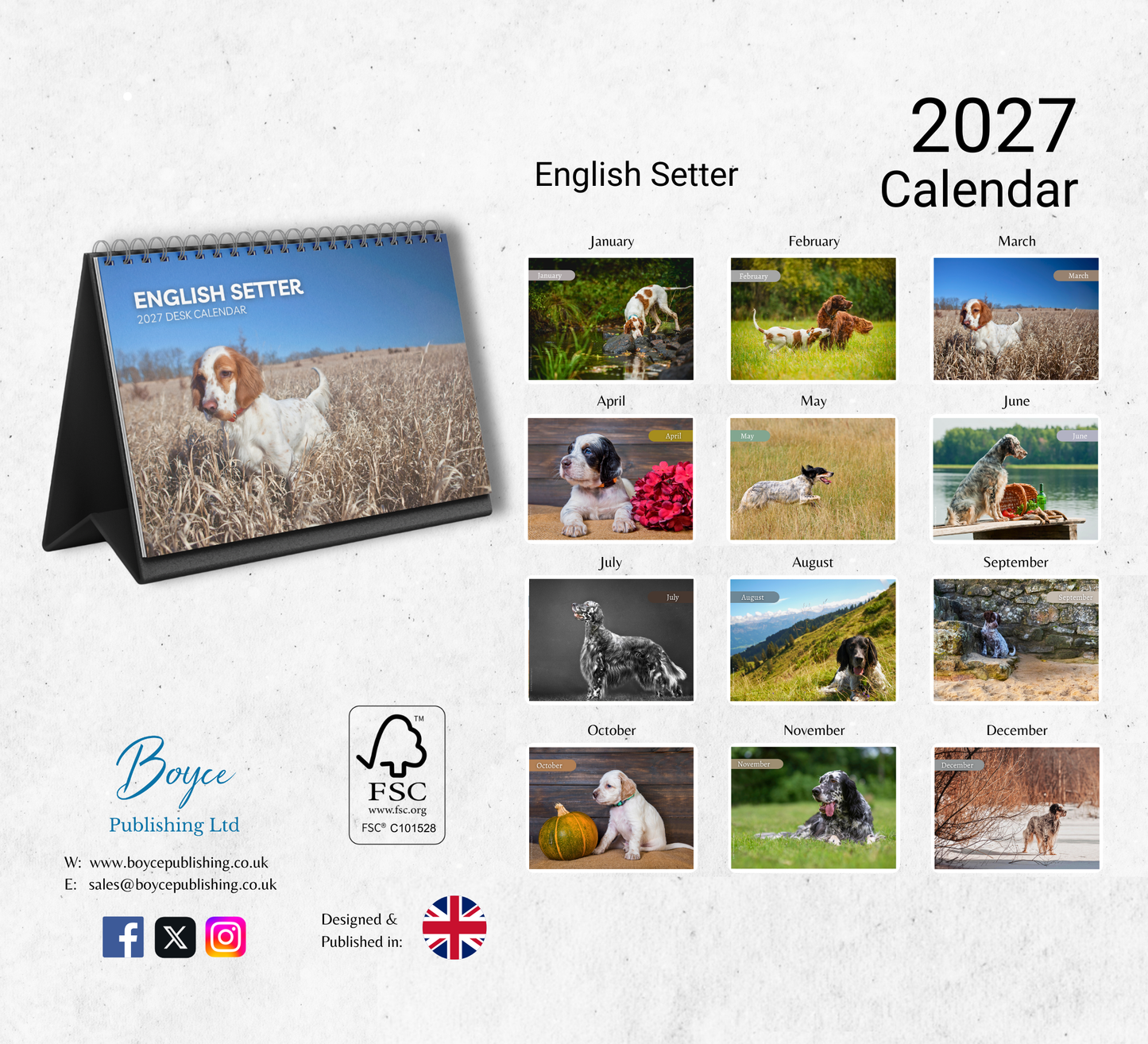 English Setter Desk Calendar 2027-2028