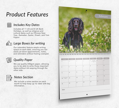 English Springer Calendar 2027
