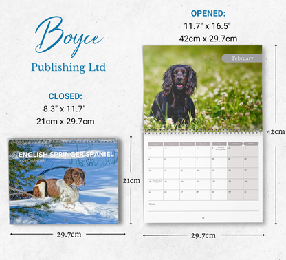 English Springer Calendar 2027