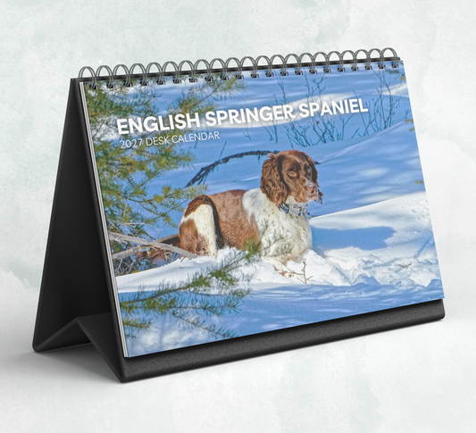 English Springer Spaniel Desk Calendar 2027-2028
