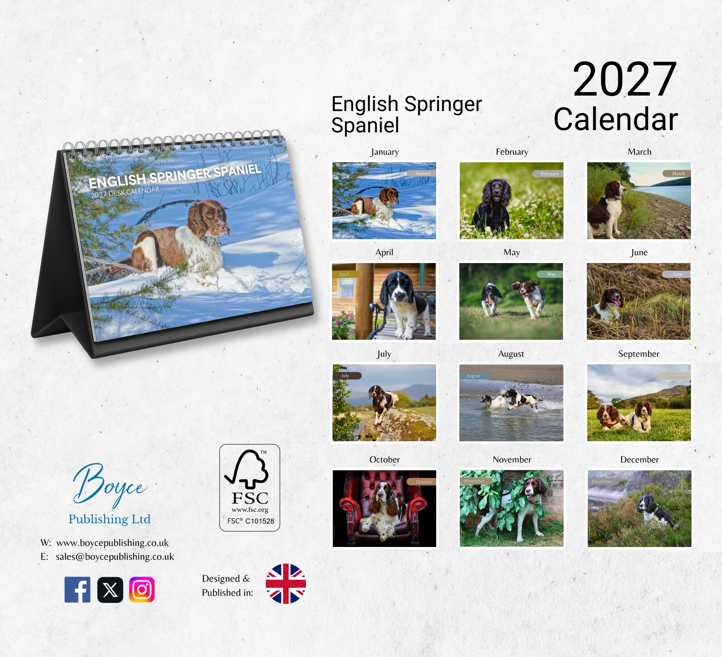 English Springer Spaniel Desk Calendar 2027-2028
