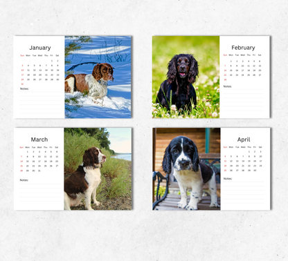 English Springer Spaniel Desk Calendar 2027-2028