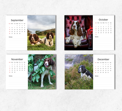 English Springer Spaniel Desk Calendar 2027-2028