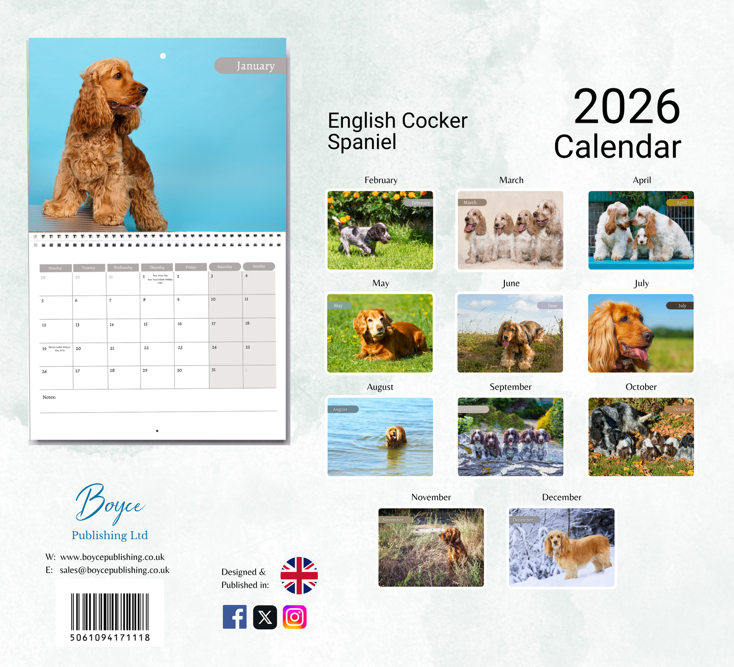 Cocker Spaniel Calendar 2026