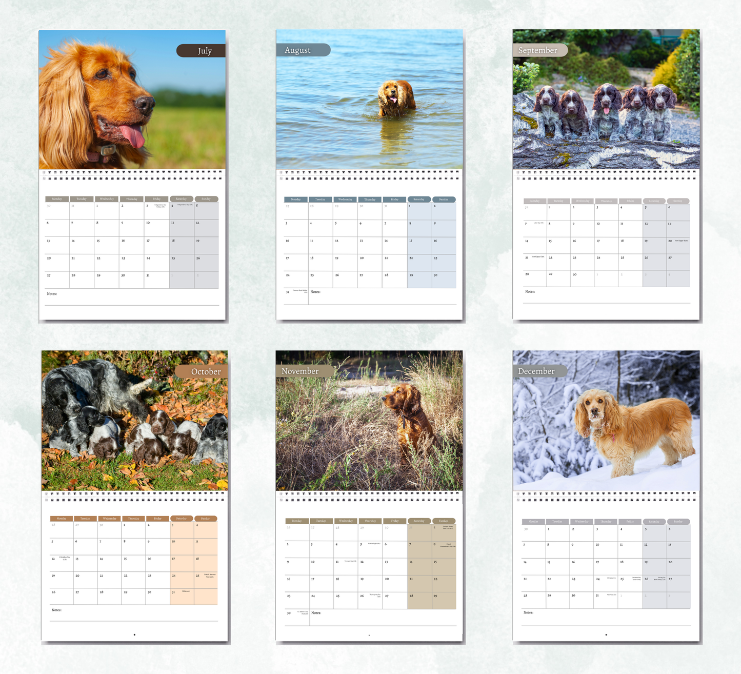 Cocker Spaniel Calendar 2026