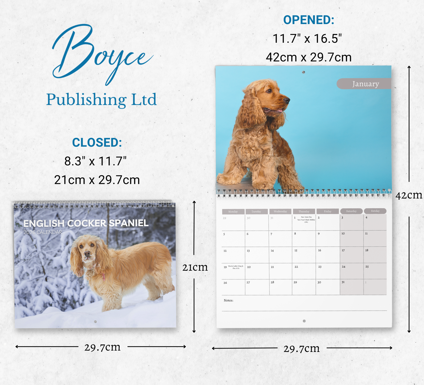 Cocker Spaniel Calendar 2026