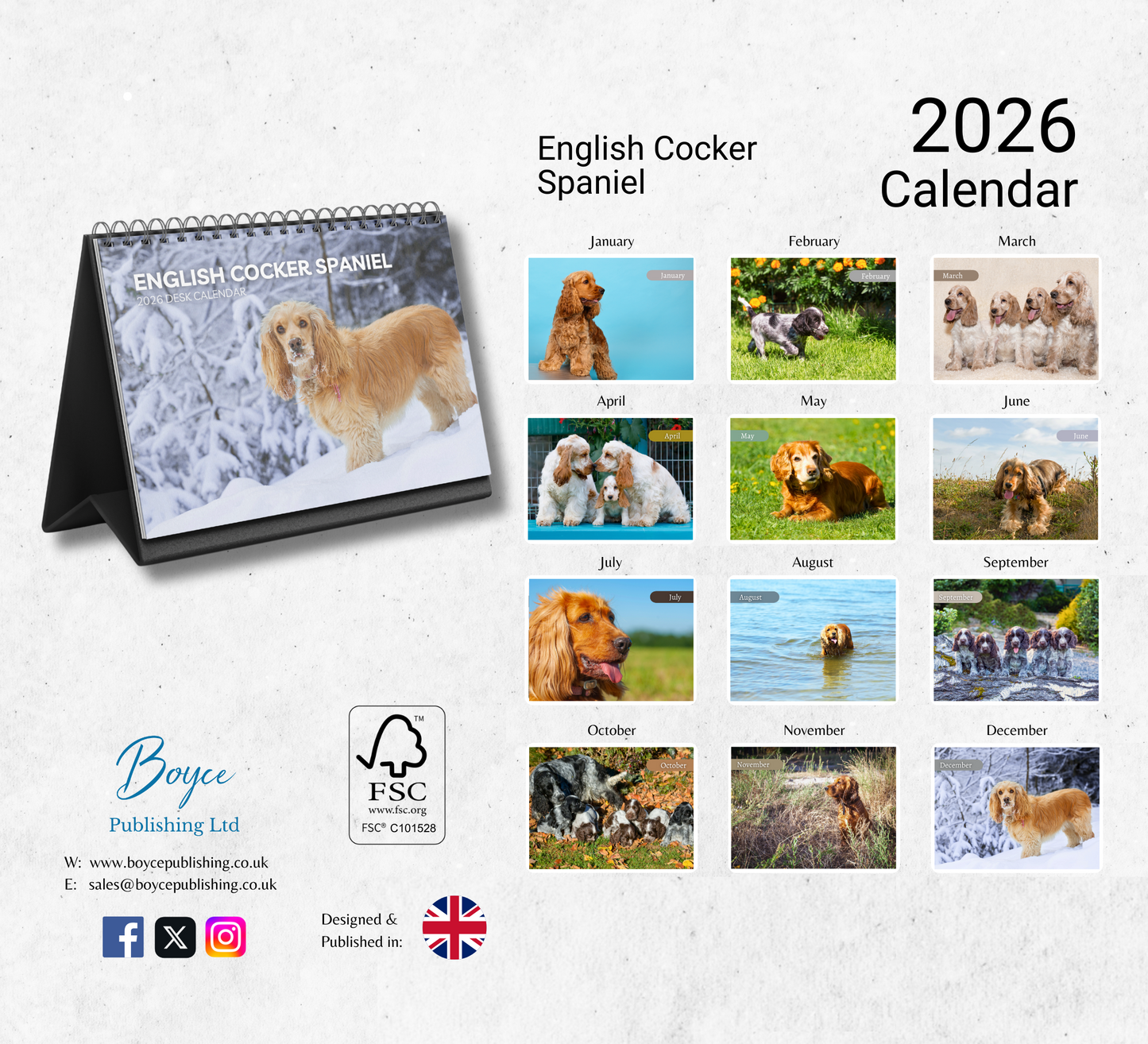 Cocker Spaniel Desk Calendar 2026-2027