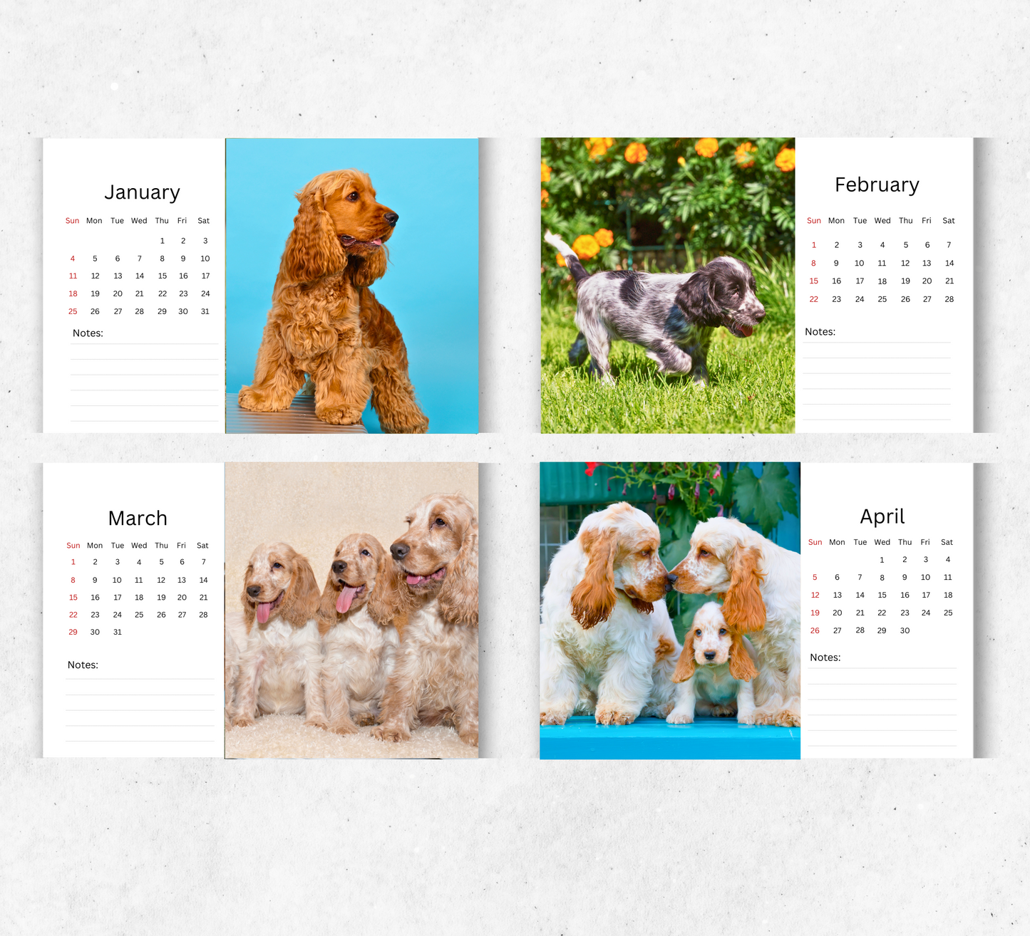 Cocker Spaniel Desk Calendar 2026-2027