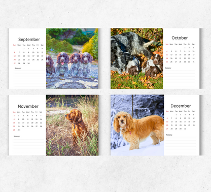 Cocker Spaniel Desk Calendar 2026-2027