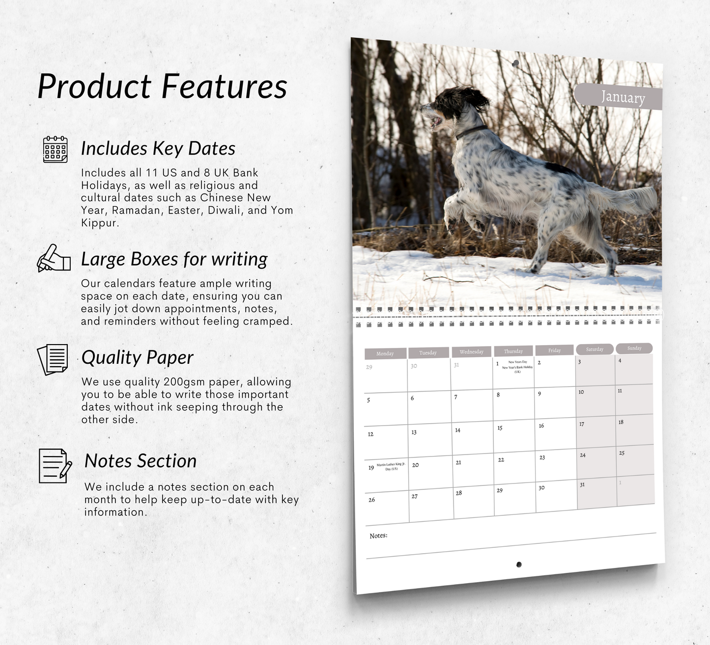 English Setter Calendar 2026