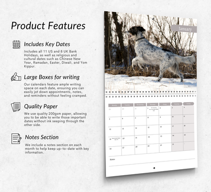 English Setter Calendar 2026