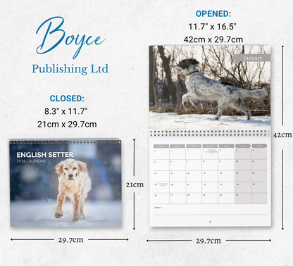 English Setter Calendar 2026