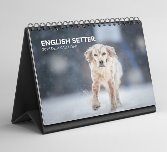 English Setter Desk Calendar 2026-2027