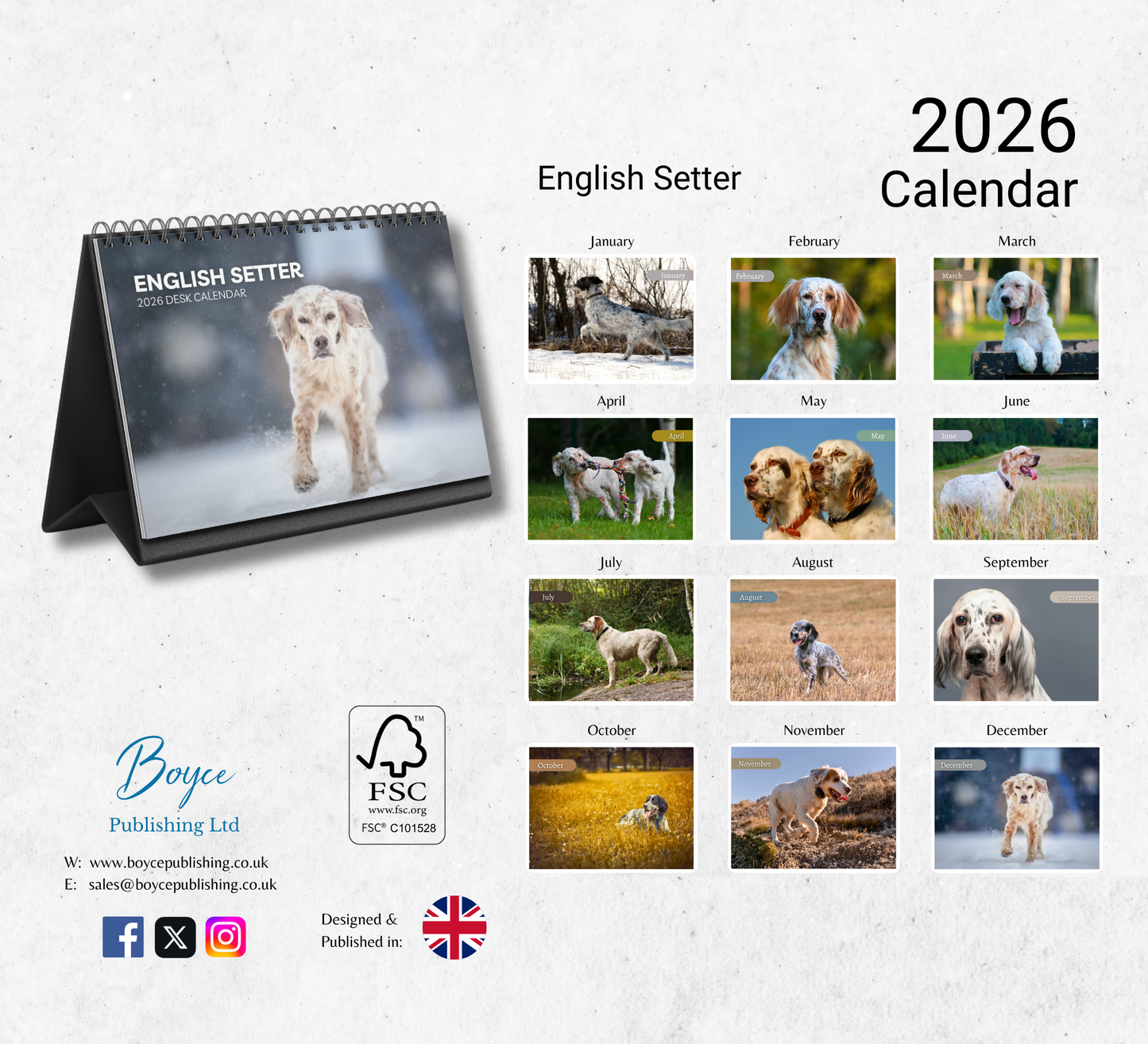 English Setter Desk Calendar 2026-2027