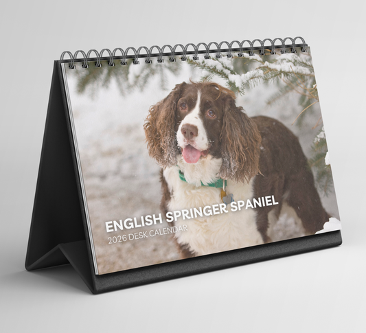 English Springer Spaniel Desk Calendar 2026-2027