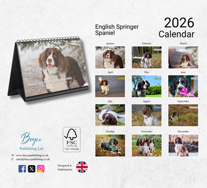 English Springer Spaniel Desk Calendar 2026-2027