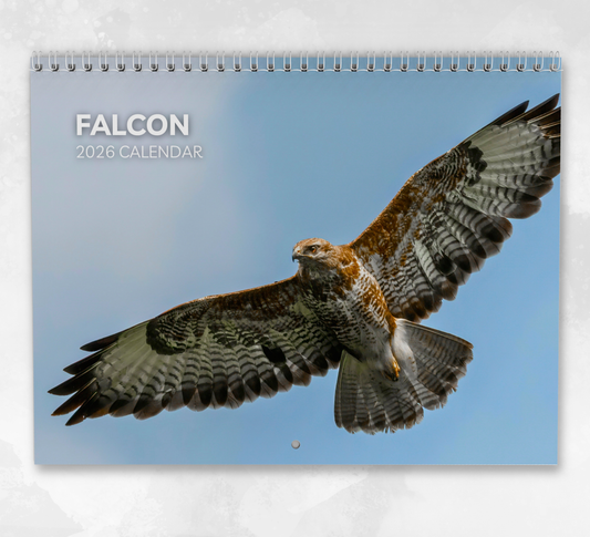 Falcon Calendar 2026