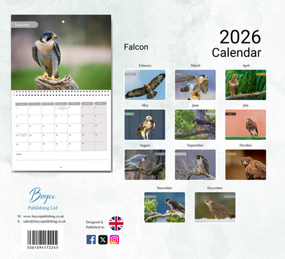 Falcon Calendar 2026