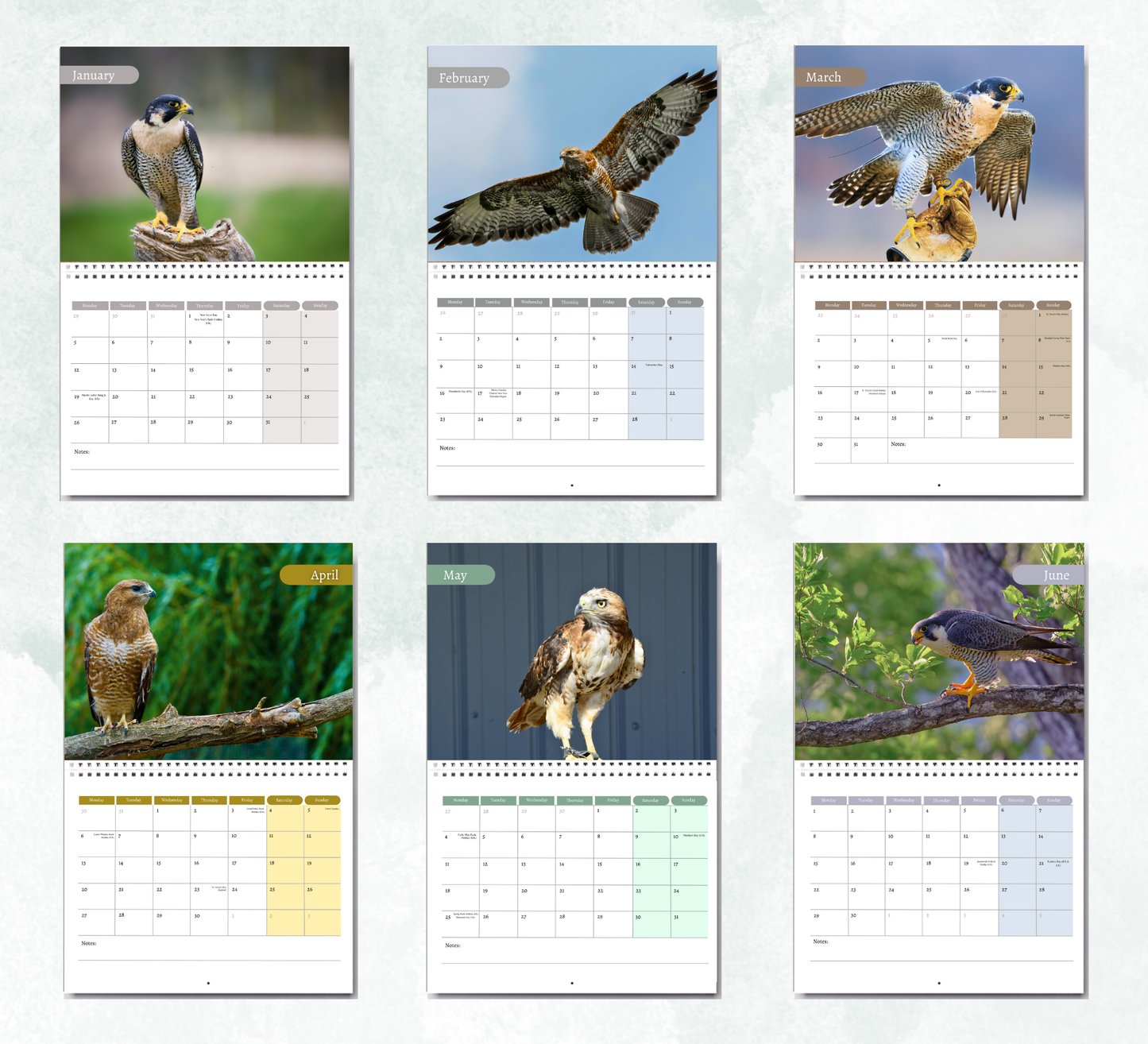 Falcon Calendar 2026