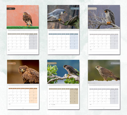 Falcon Calendar 2026