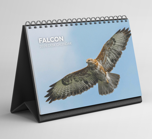 Falcon Desk Calendar 2026-2027
