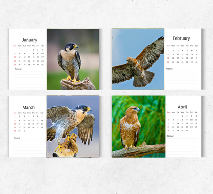 Falcon Desk Calendar 2026-2027
